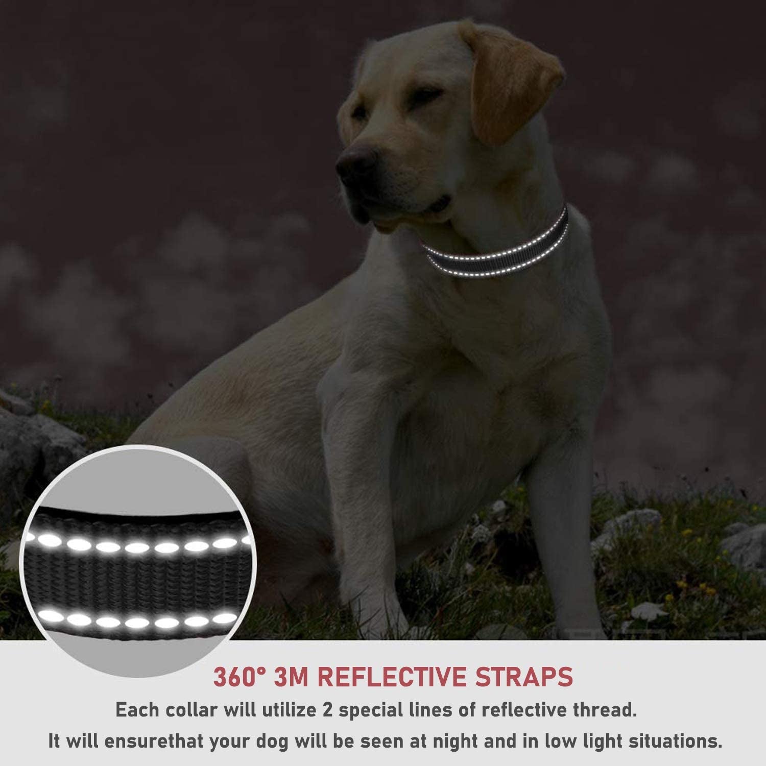 Adjustable Reflective Nylon Dog Collar with Buckle for Small, Medium, and Large Dogs - Black Size S