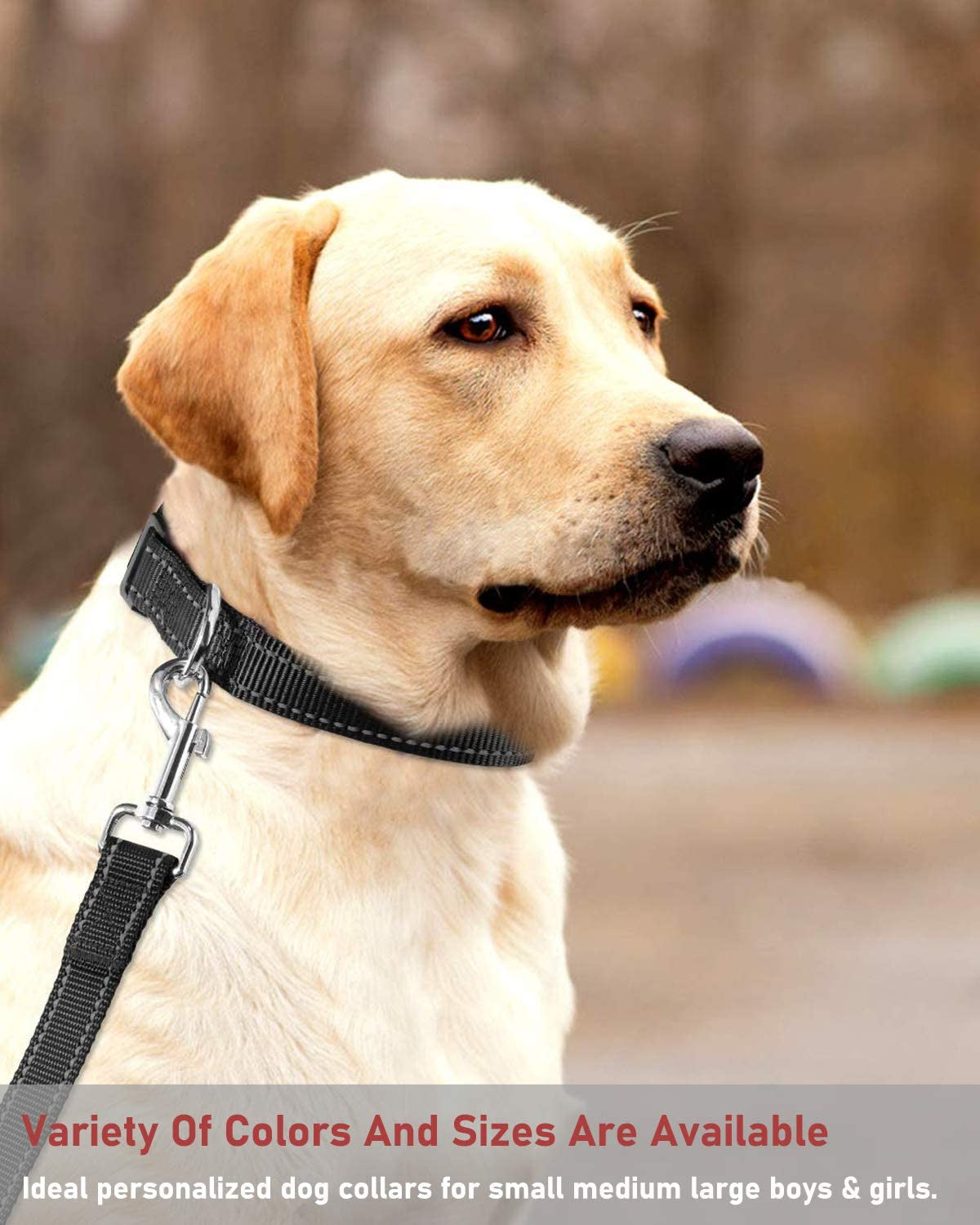 Adjustable Reflective Nylon Dog Collar with Buckle for Small, Medium, and Large Dogs - Black Size S
